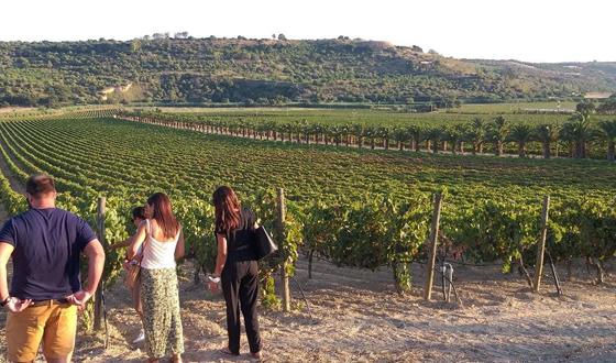 Persone camminano tra i vigneti in campagna.