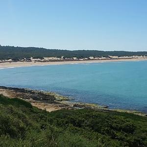 Plage paisible avec mer bleue et dunes de sable.
